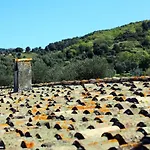 Farm stay Masseria Procacci *