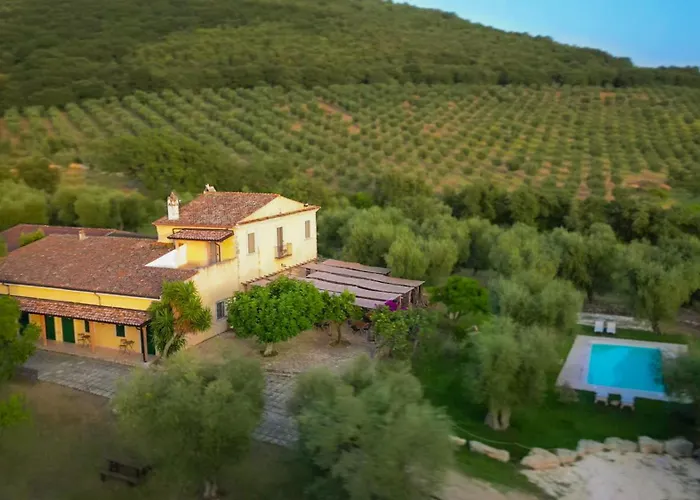 Farm stay Masseria Procacci *