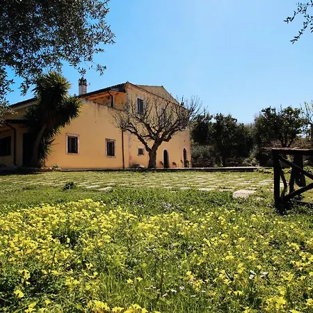 Masseria Procacci Lantgård