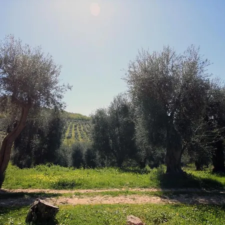 Masseria Procacci Ischitella