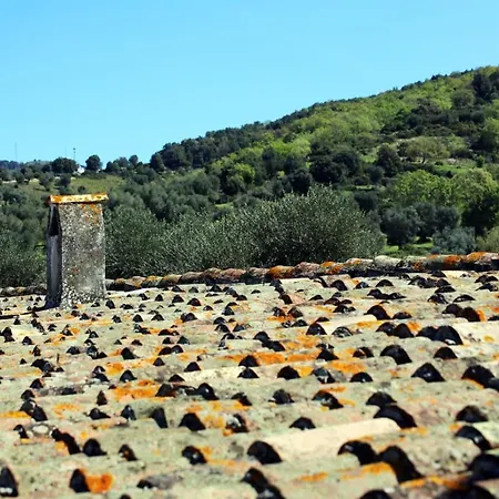 Lantgård Masseria Procacci *